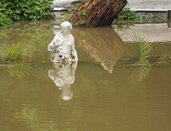 How to Help Louisiana Flood victims